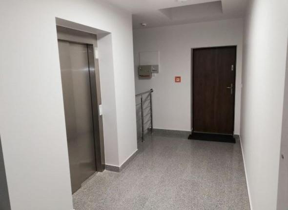 Apartament 80M2 Z 70M2 Tarasem -W Pelni Wyposazony - Wyjatkowe Centrum Miasta Włocławek Kültér fotó